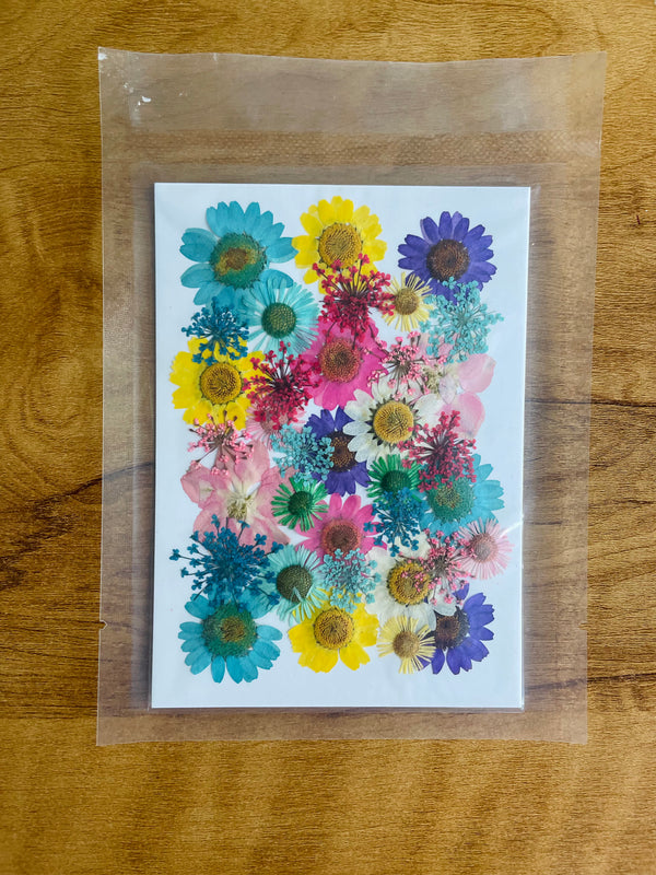 Pressed Multi Colour Flower Sheets