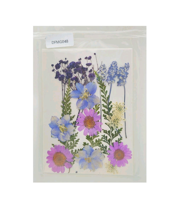 Pressed Dry Flower Sheet : Spring