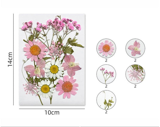 Pressed Flower Sheet