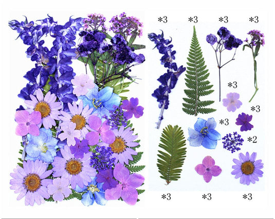 Pressed Dry Flower Sheets : 32 in 1