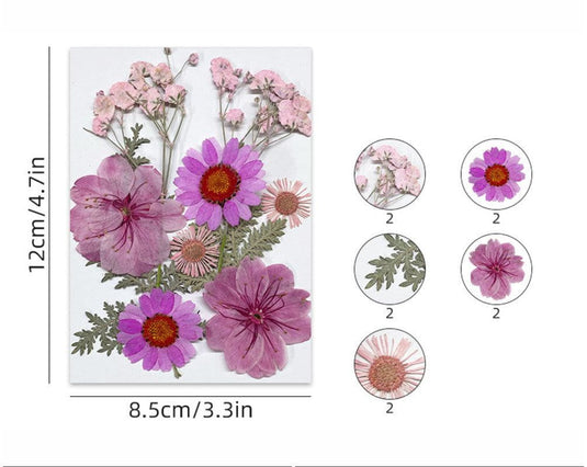 Pressed Flower Sheet