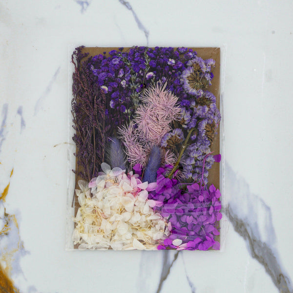 Premium Dry Flower Blossom : Violet