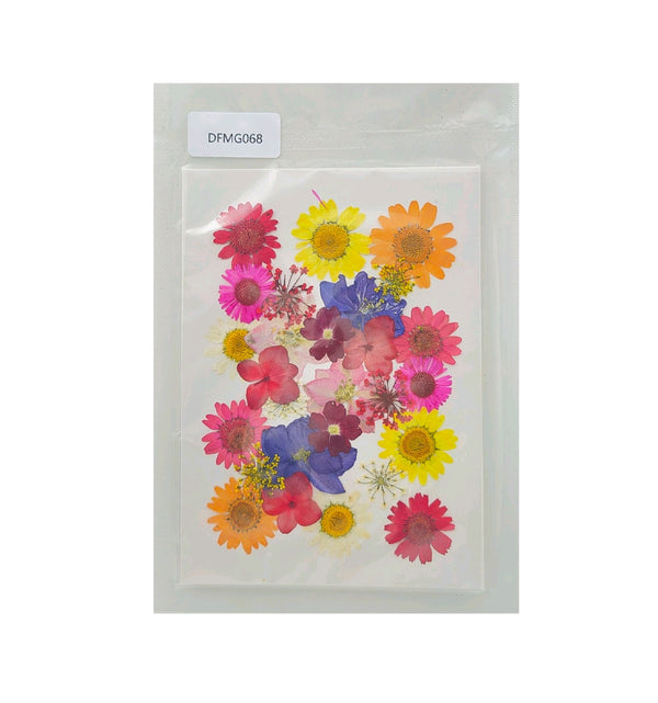 Pressed Multi Colour Flower Sheet