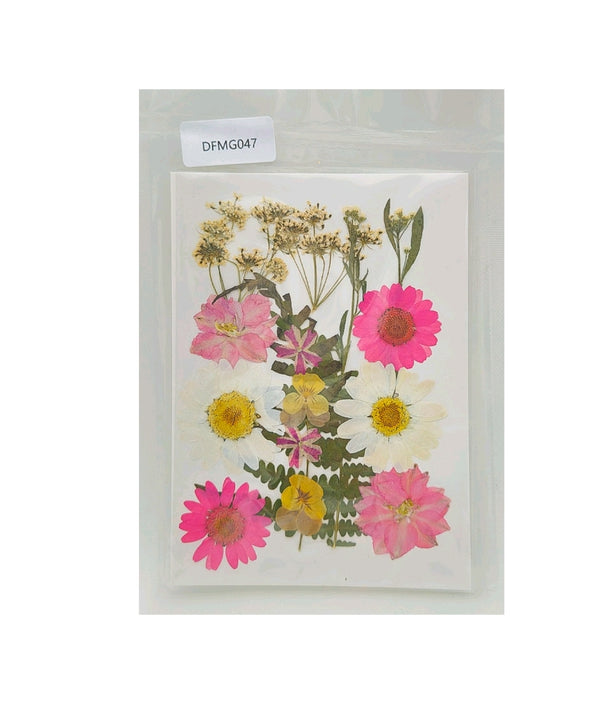 Pressed Dry Flower Sheet : Summer
