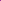 Holographic Shimmer : Purple 50g