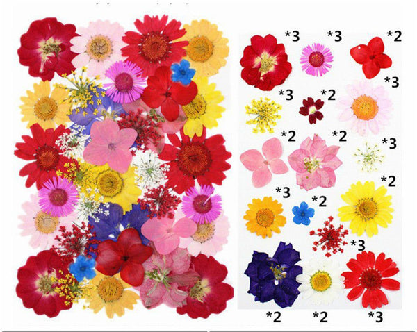 Pressed Multi Colour Flower Sheets