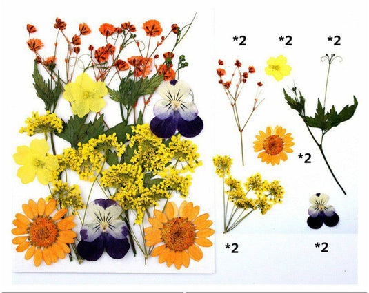 Pressed Flower Sheet