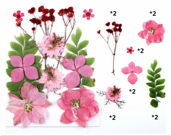 Pressed Dry Flower Sheet : Pink
