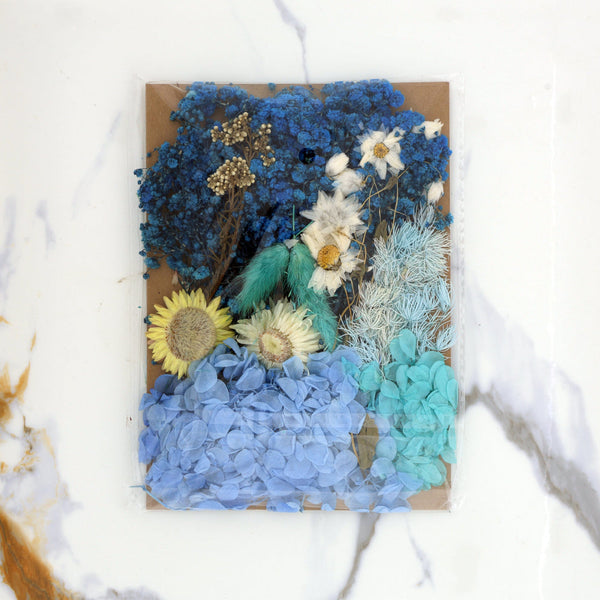 Premium Dry Flower Blossom : Blue