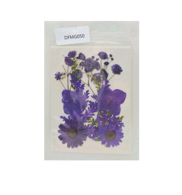 Pressed Flower Sheet : Purple