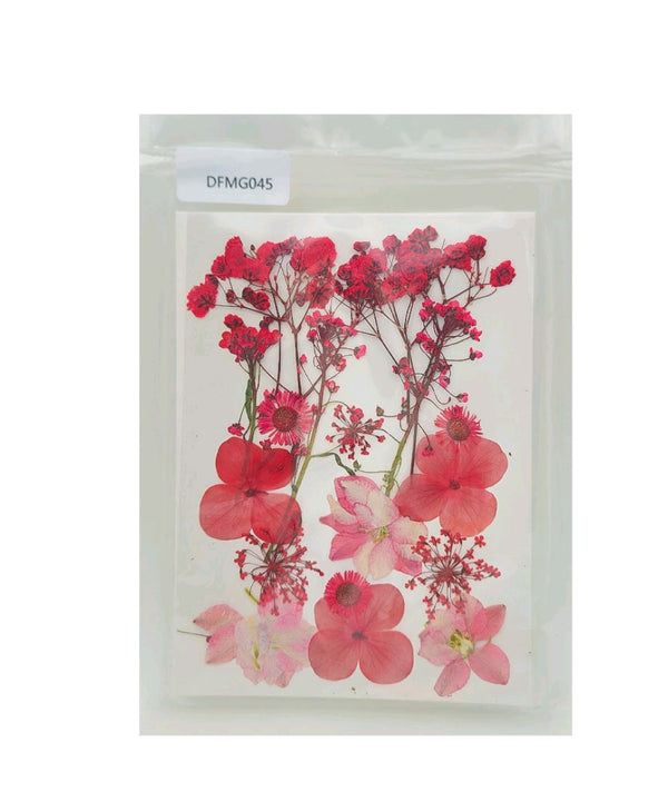 Pressed Dry Flower Sheet : Hot Pink