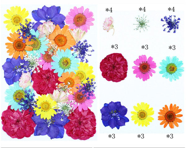 Pressed Multi Colour Flower Sheets